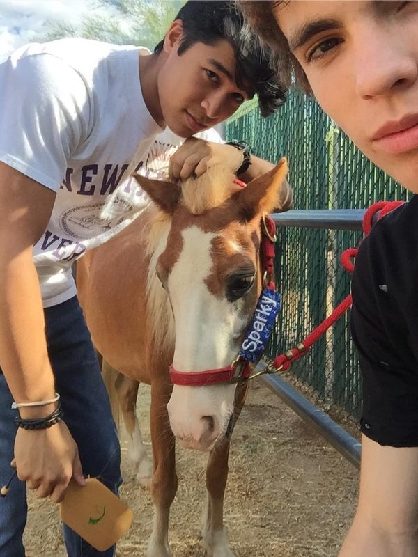 sparky is the homie